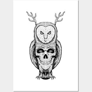 Skull owl 2 Posters and Art